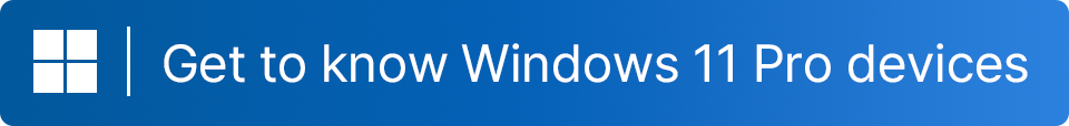 Windows 11